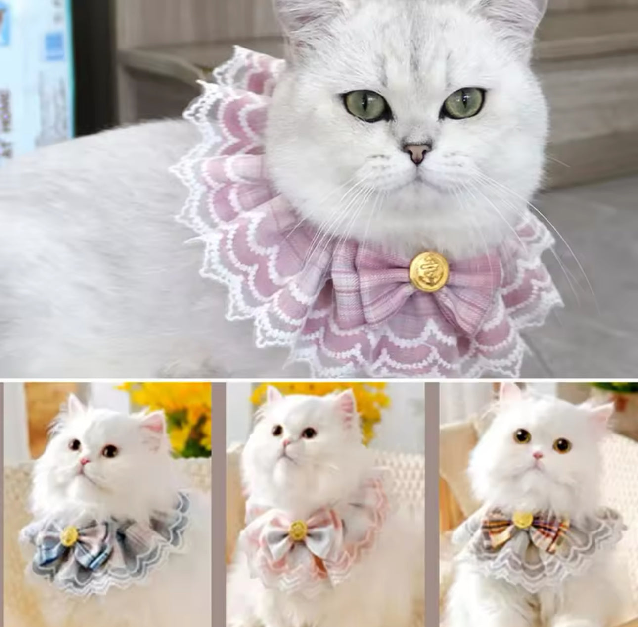 Cat Lace Bows Costume (XS)