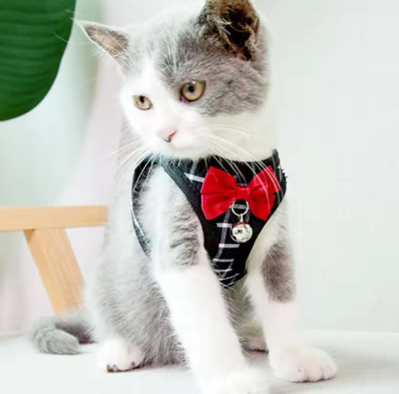 Adjustable Cat Harness - Breathable Mesh Harness With Leash (Medium/Small)