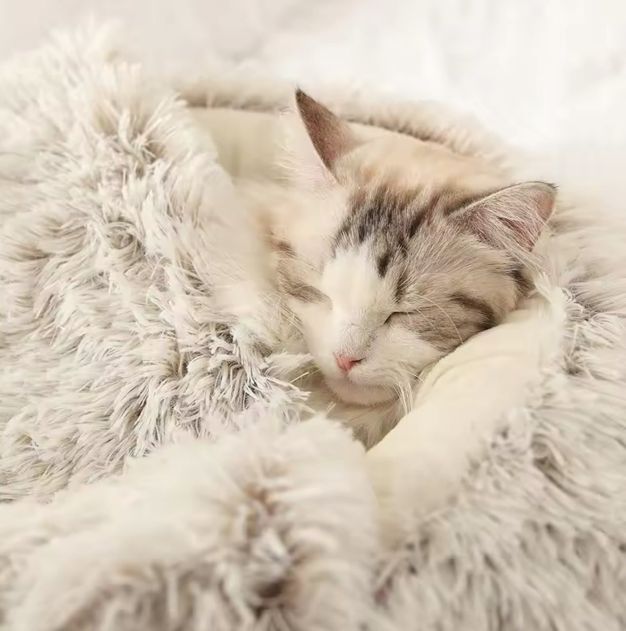 Fluffy Plush Cat Bed