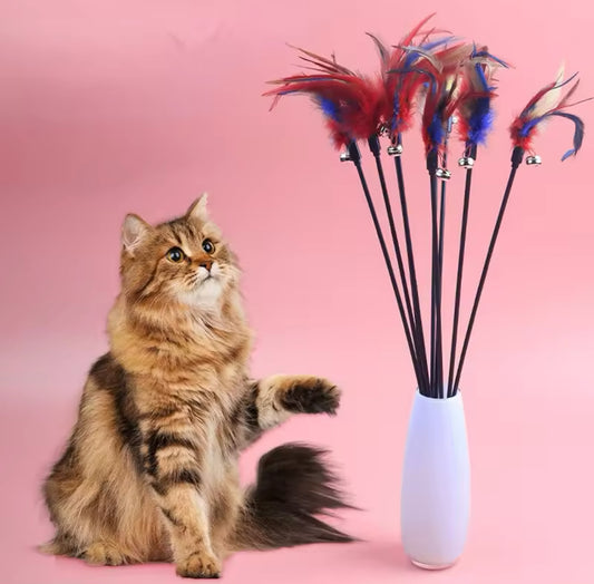 Cat Wand Teaser with Feathers and Bell Sound