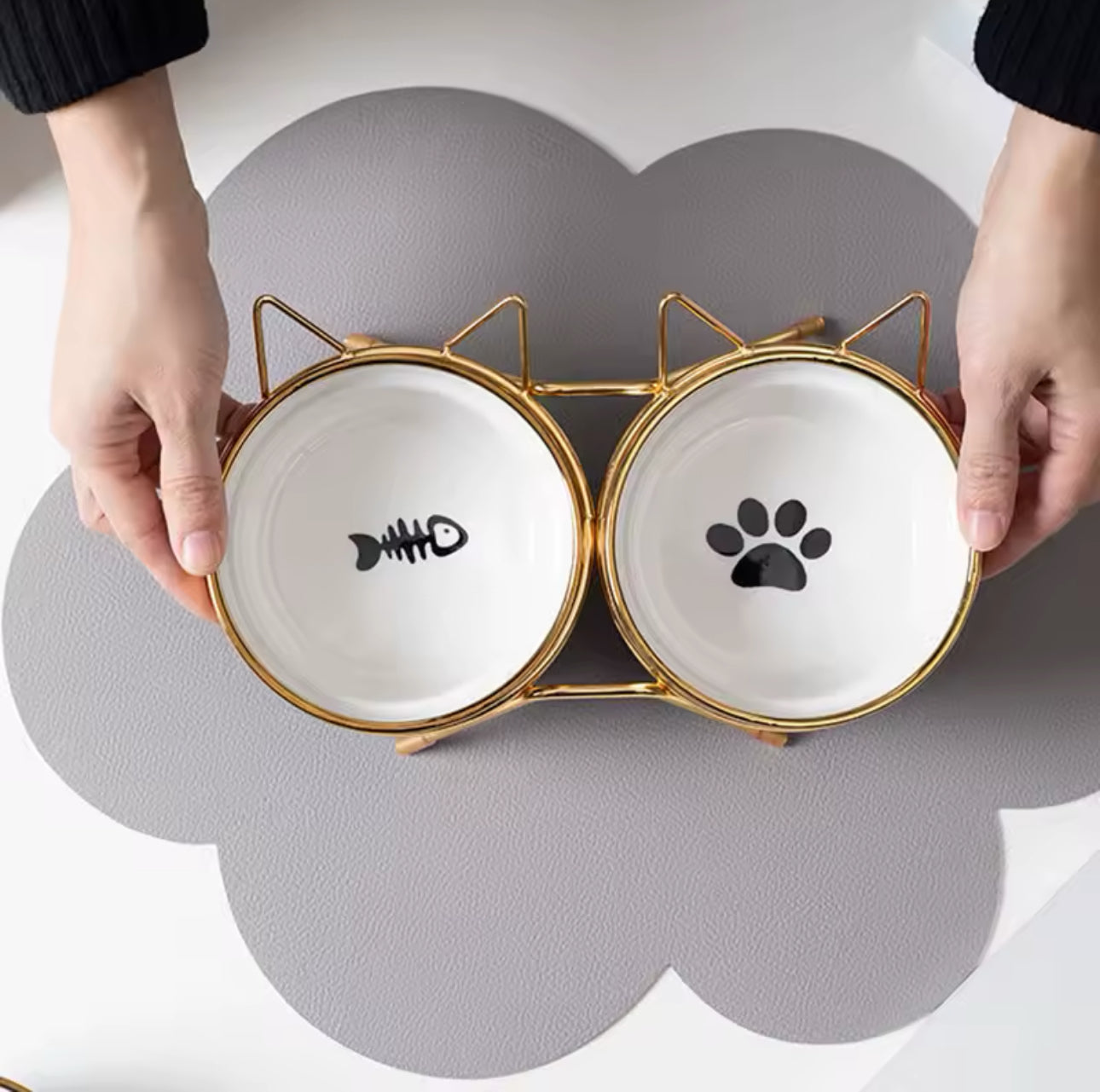 Ceramic Cat Pet Bowls With Metal Elevated Stand Included