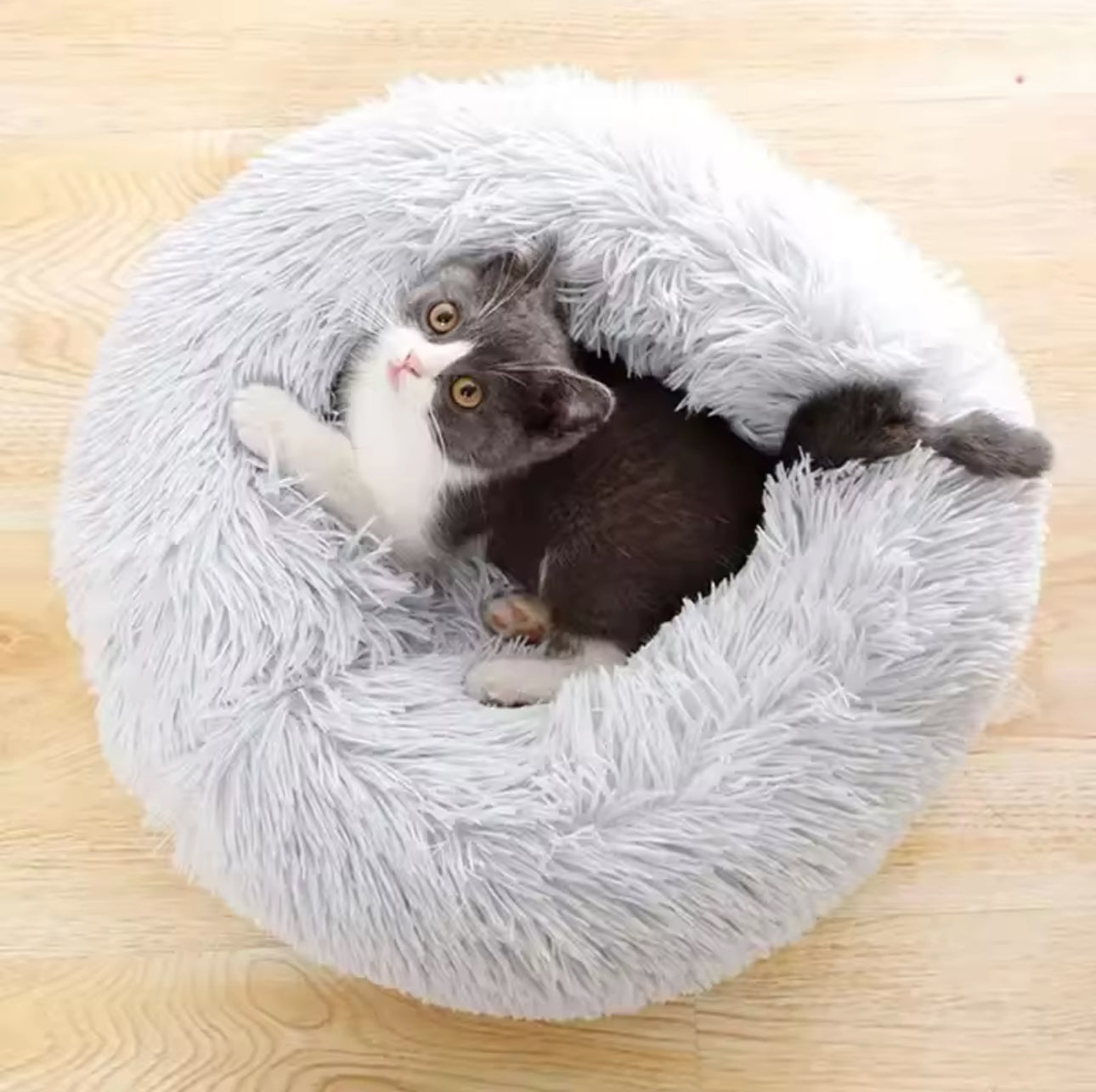 Cat Soft Bed Plush