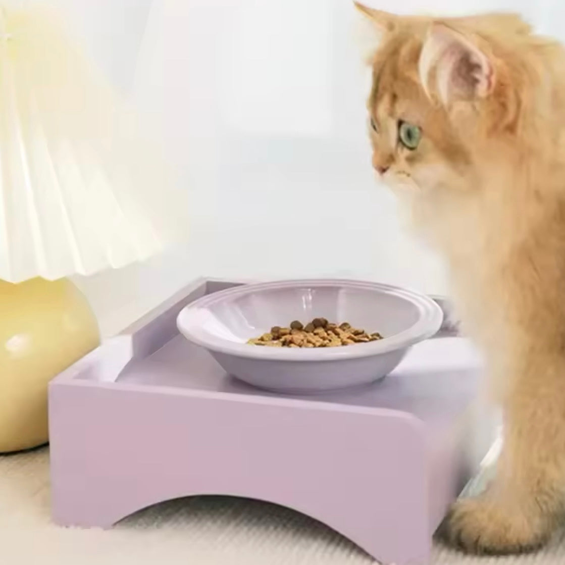 Ceramic Cat Pet Food Water Bowl Plates