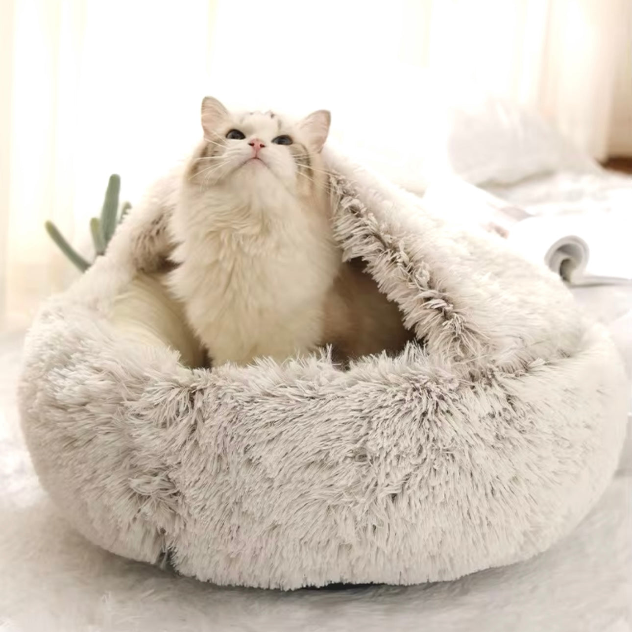 Fluffy Plush Cat Bed