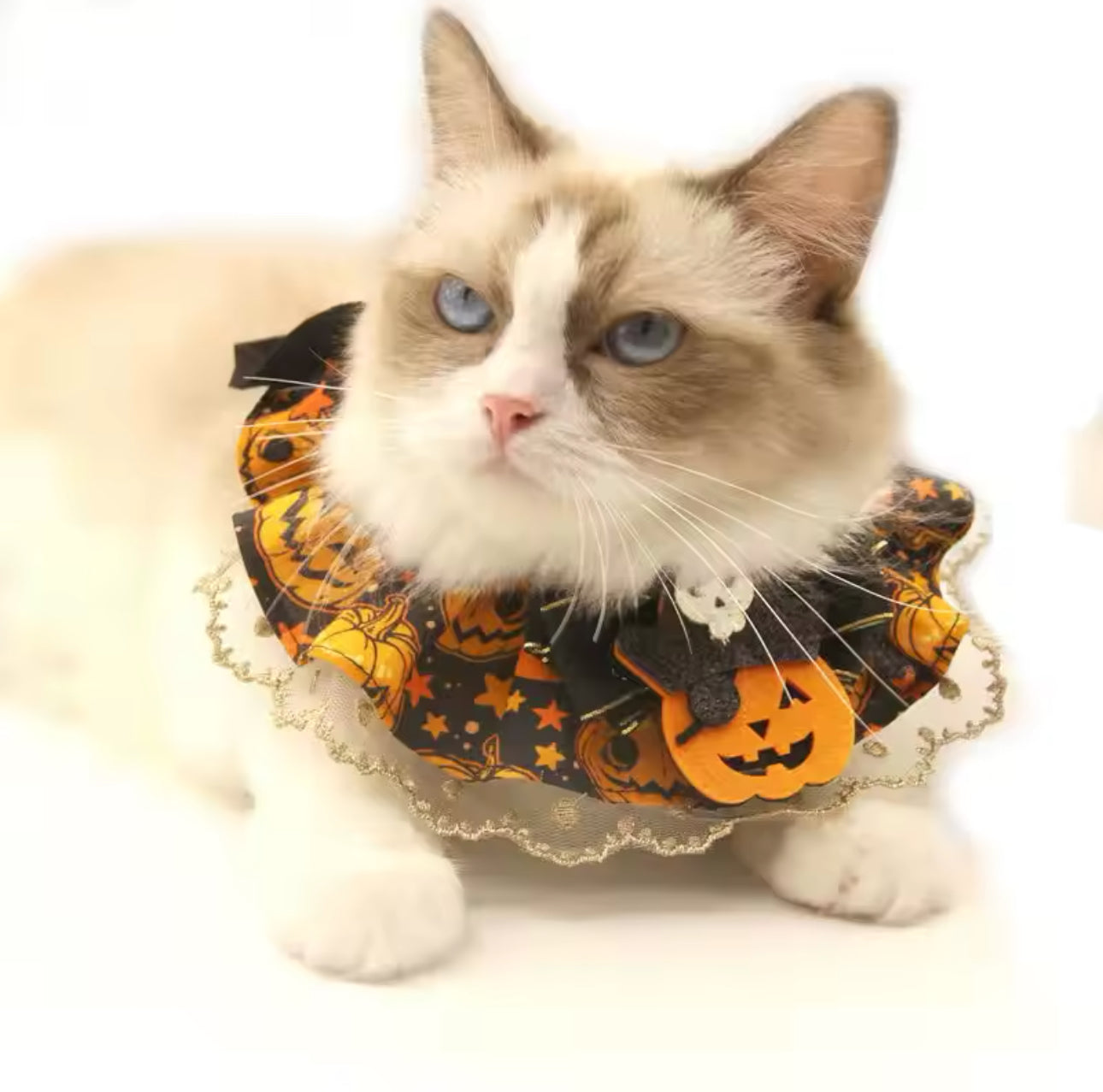 Halloween Cat Lace Collar with Adjustable Bib