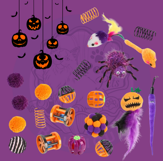 Halloween Cat Toys Bundle 21 Pieces - Feathers Balls Mouse Spring Catnip Bell Toys