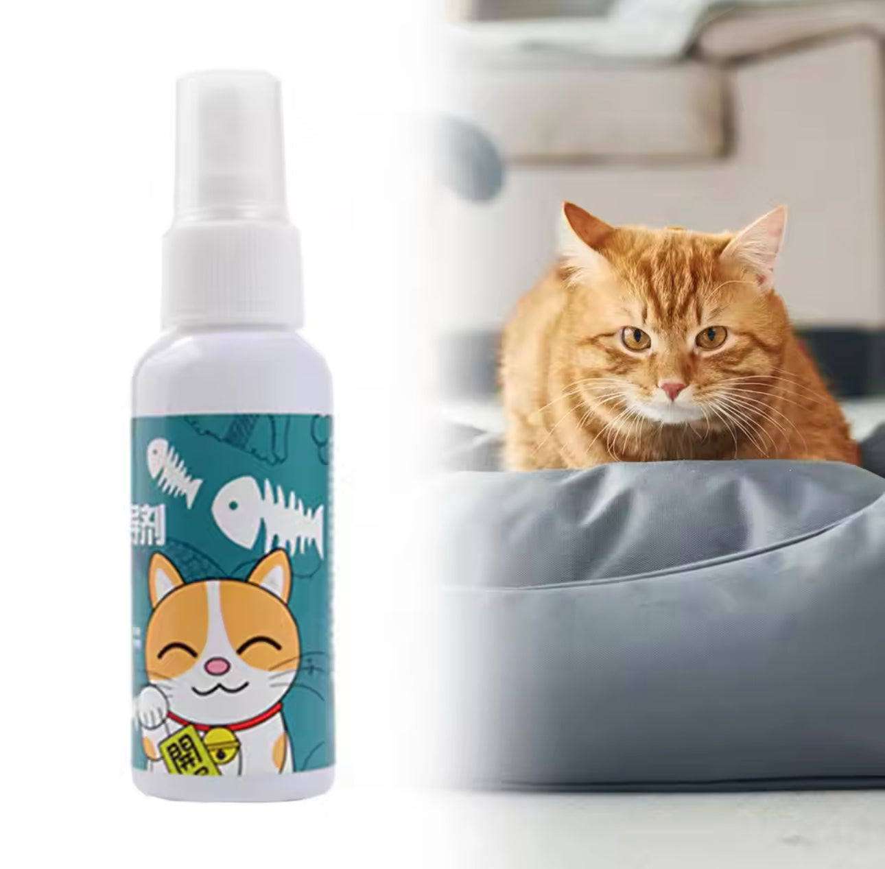 Catnip Spray