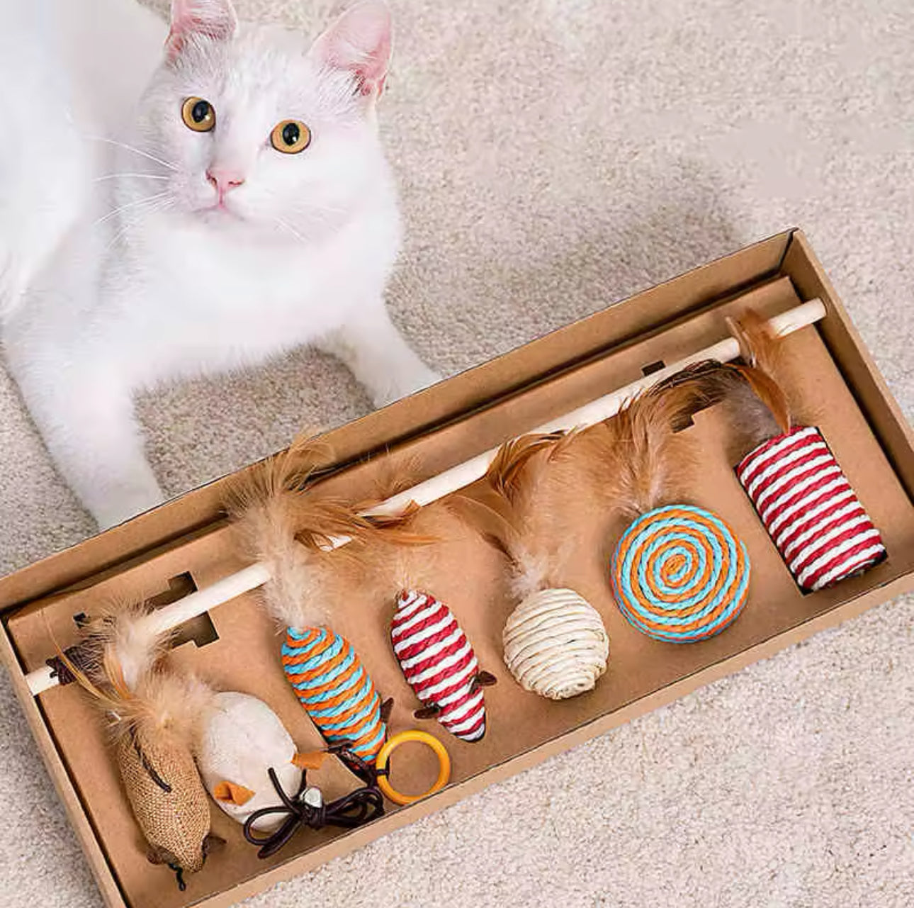 Cat Toy Box 7 In 1 - Mouse Feather Toys