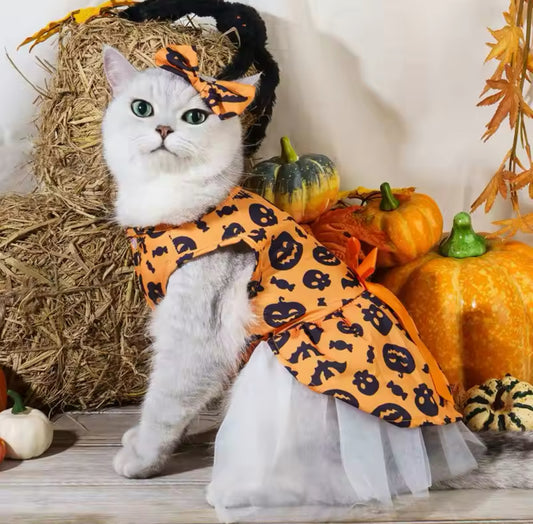 Halloween Cat Costume Dress Pumpkin Orange Design