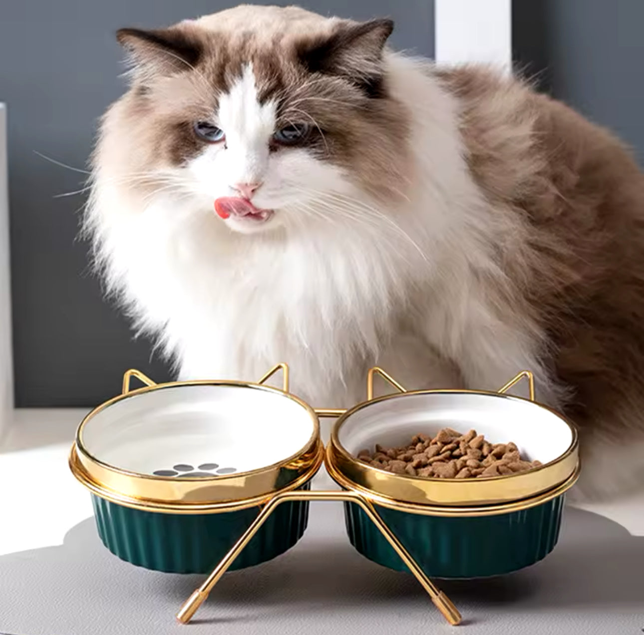 Ceramic Cat Pet Bowls With Metal Elevated Stand Included