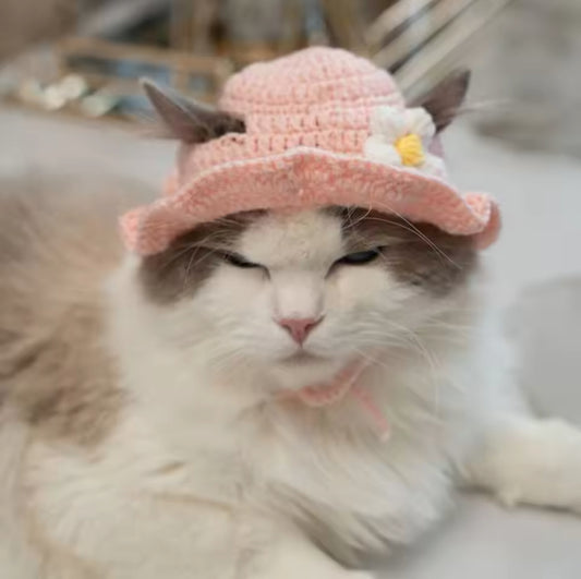 Crotchet Style Cat hat