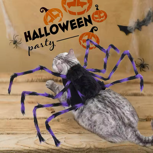 Cat Spider Halloween Costume