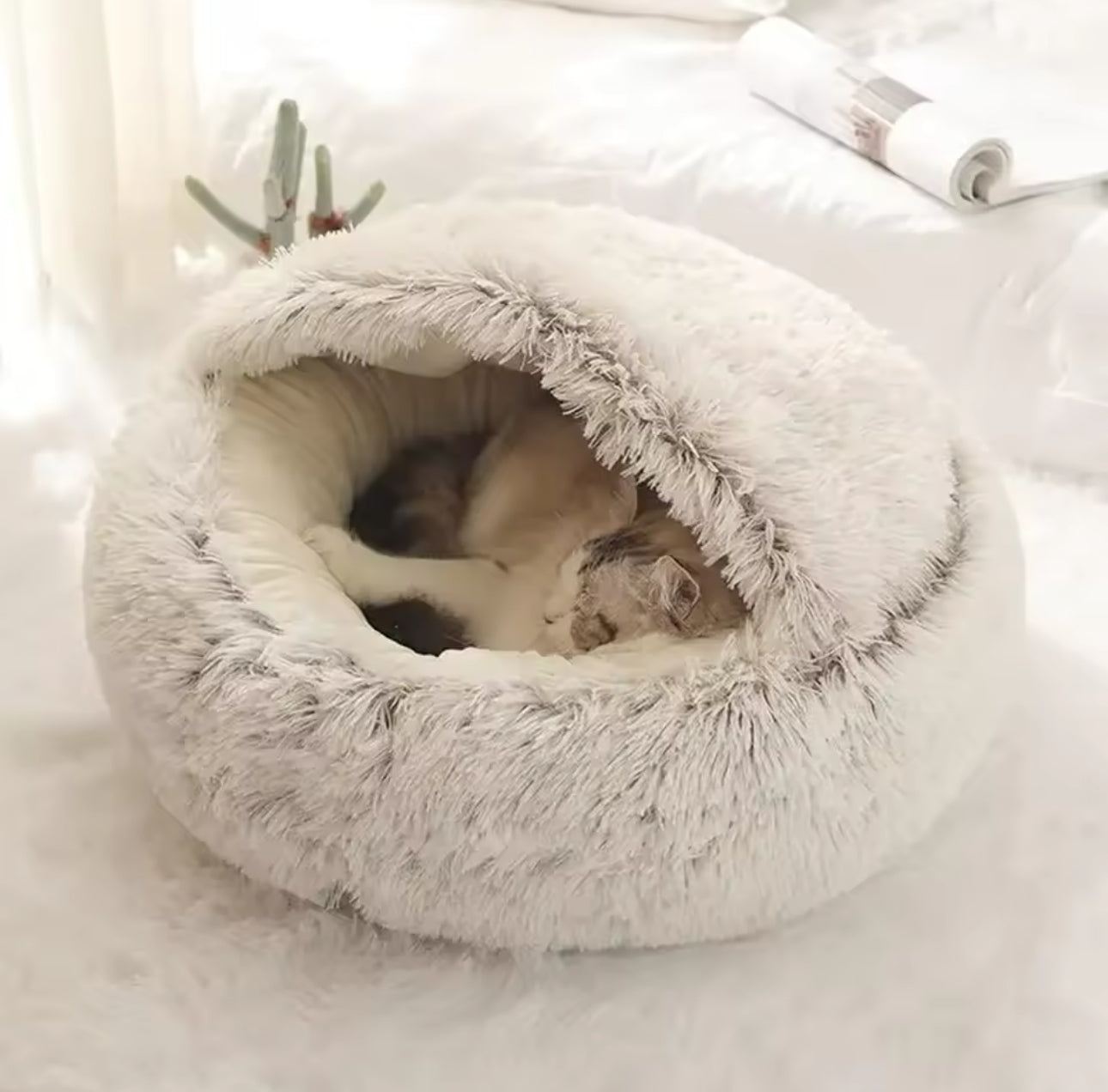 Fluffy Plush Cat Bed