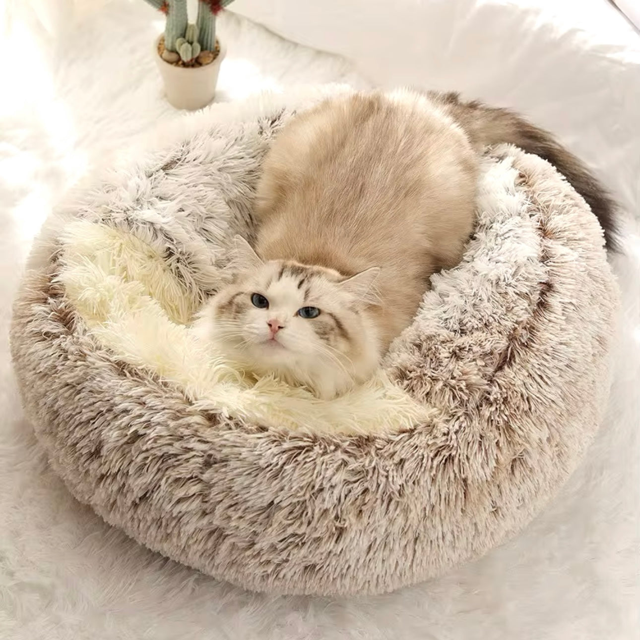 Fluffy Plush Cat Bed