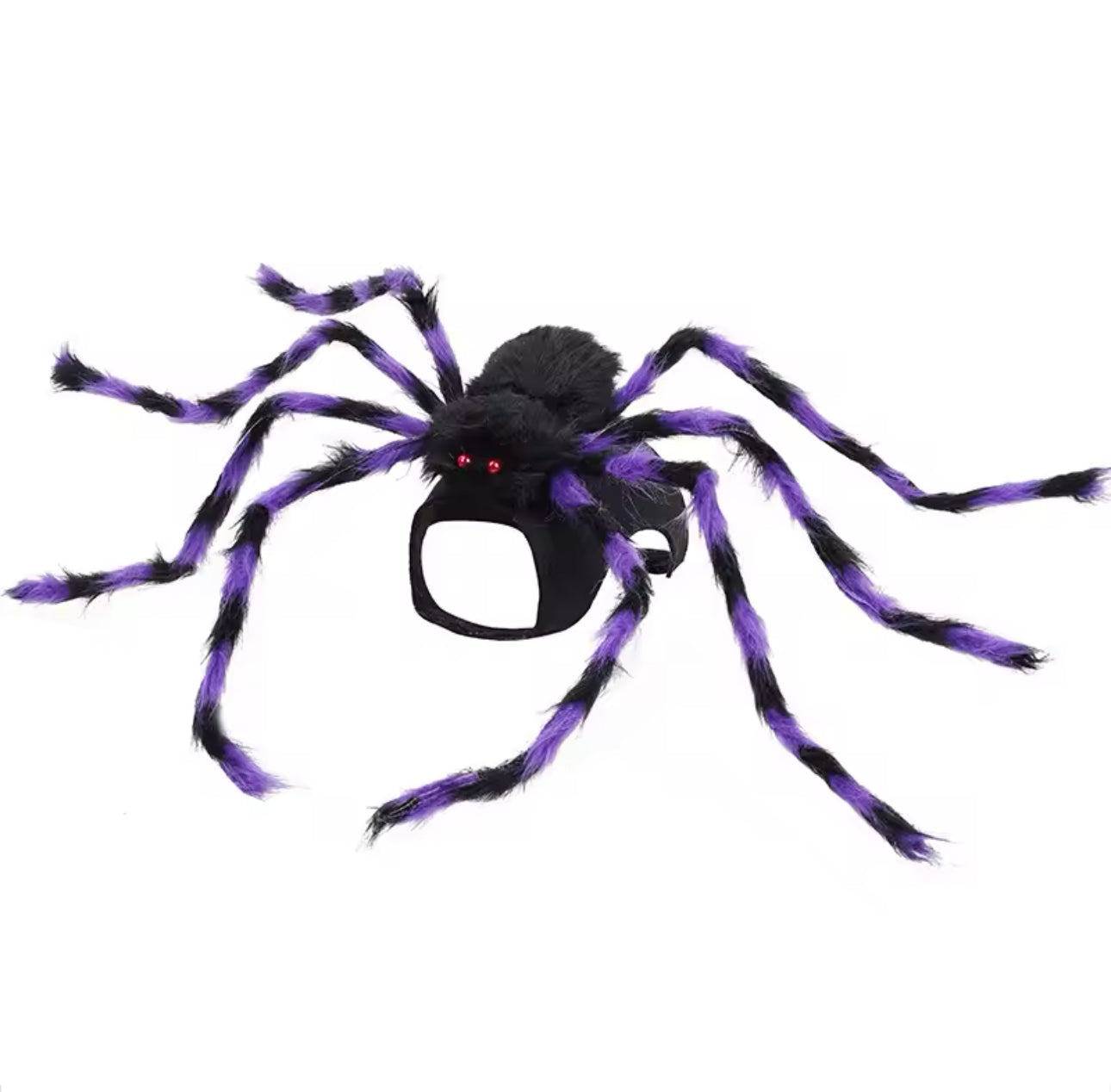 Cat Spider Halloween Costume