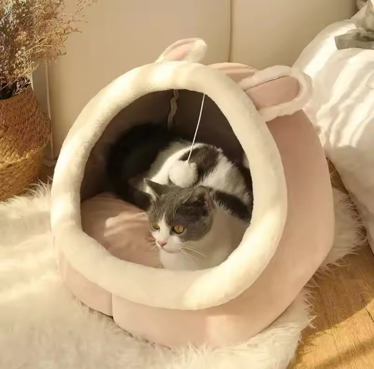 Pet Bed with Ball toy - Soft bed for cats