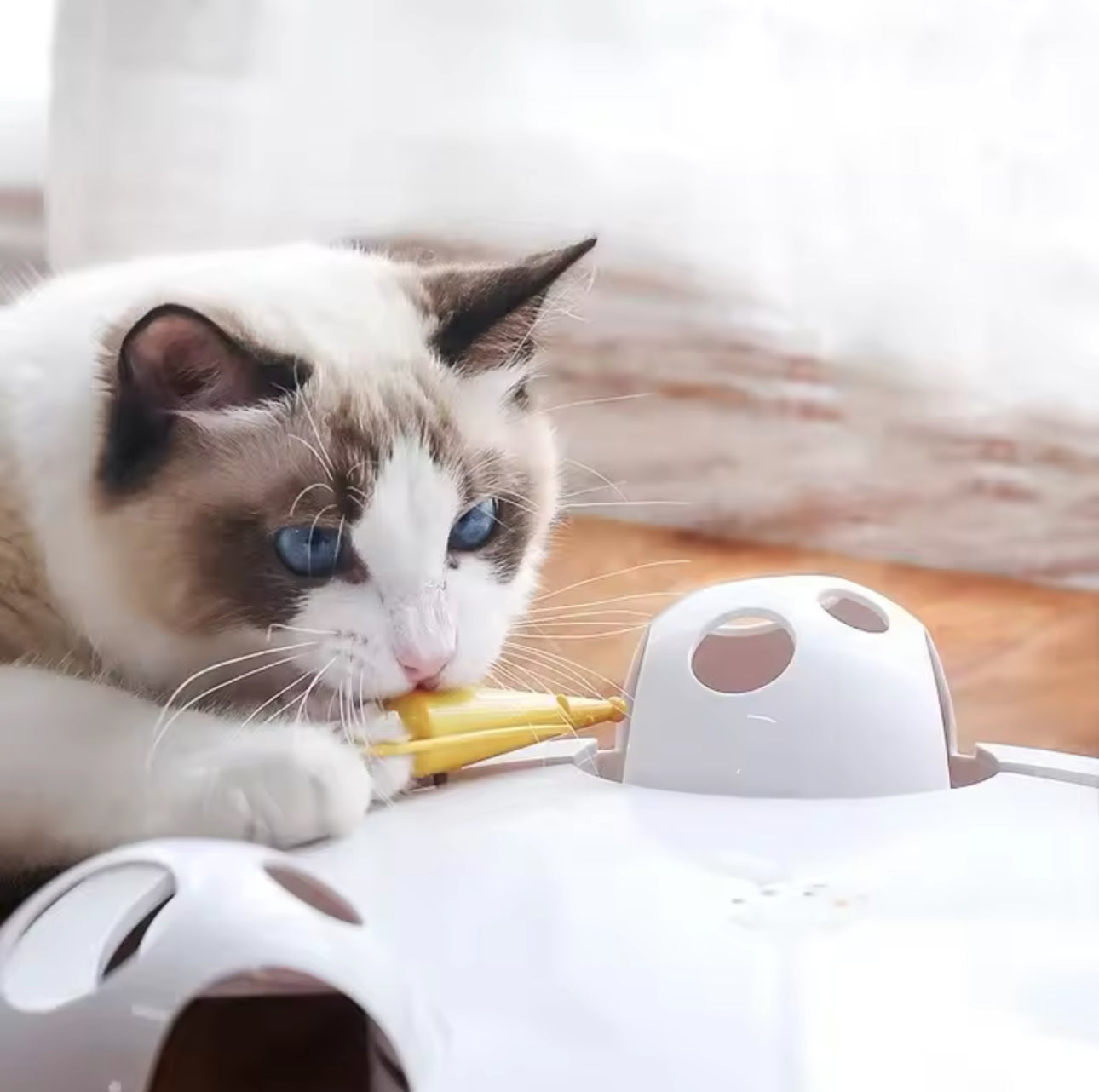 Catching Mouse Cat Toy - Automatic Toy Adjustable Speed