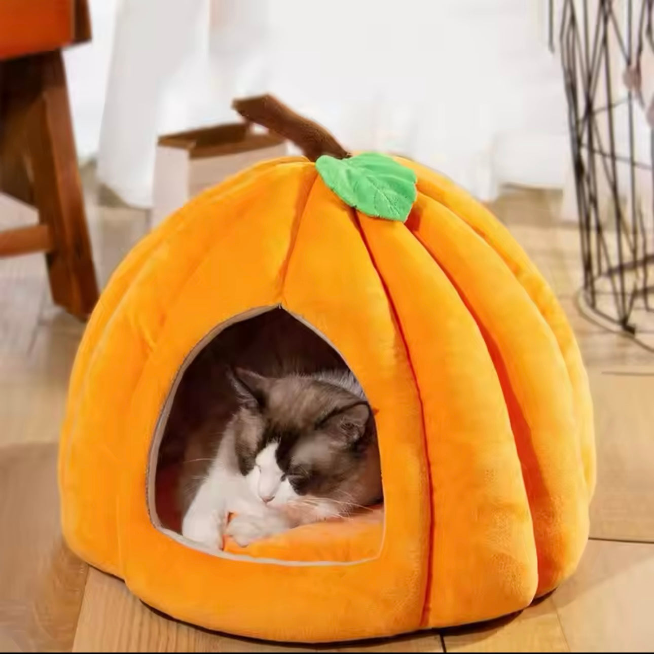 Pumpkin Cozy Cat Bed (Medium)