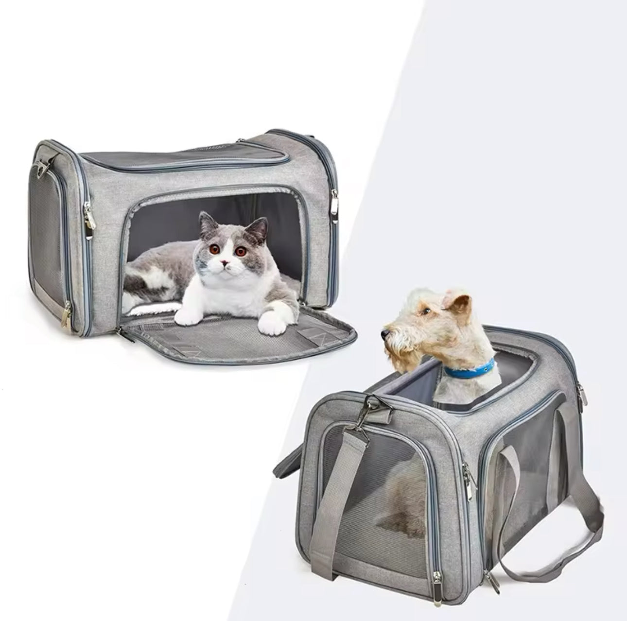 Cat Carrier - 3 Layer Cozy Mat & All Directions Openings (Large)