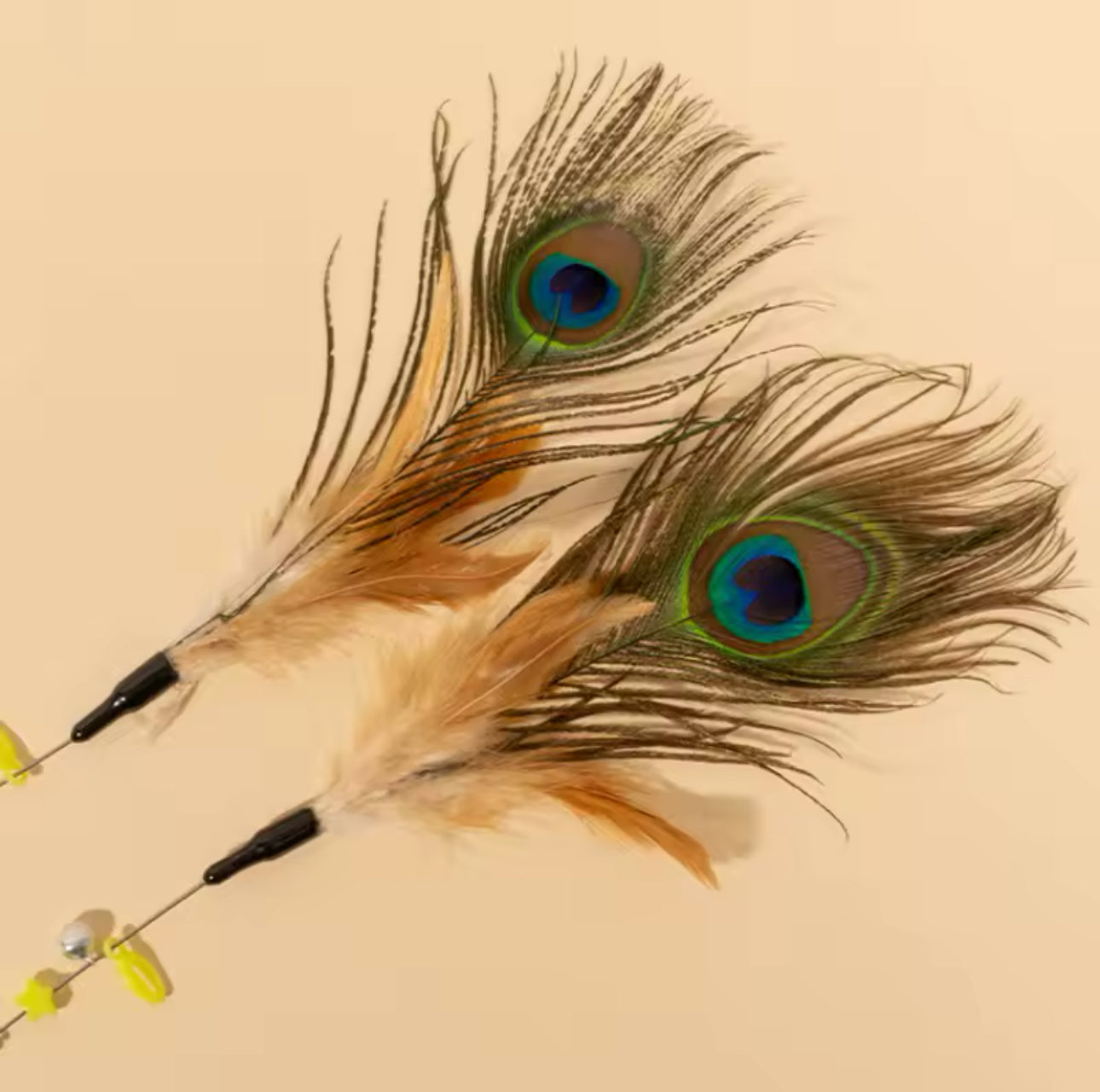 Peacock Feather Cat Wand Teaser Toy