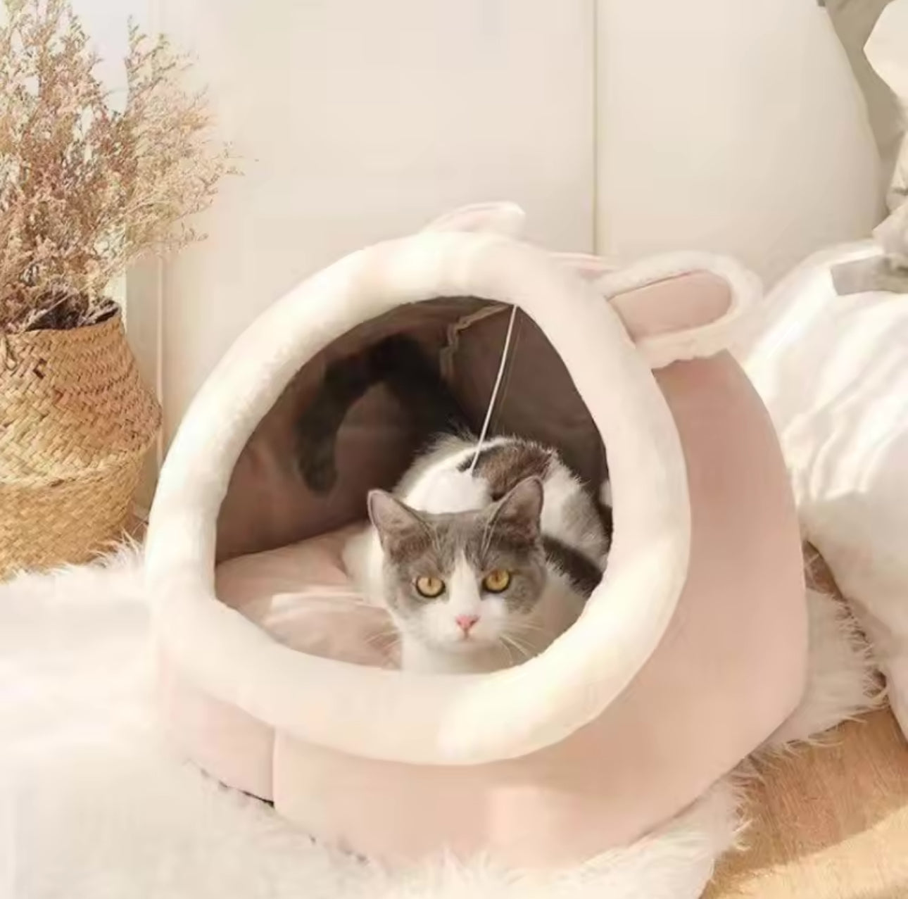 Pet Bed with Ball toy - Soft bed for cats