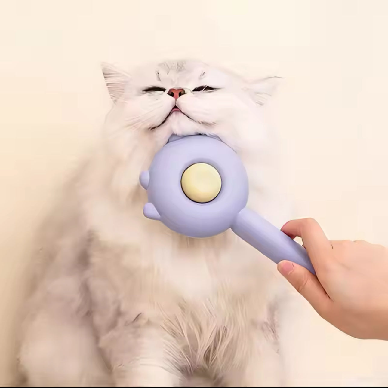 Cat Paw Brush - Pet Grooming Fur