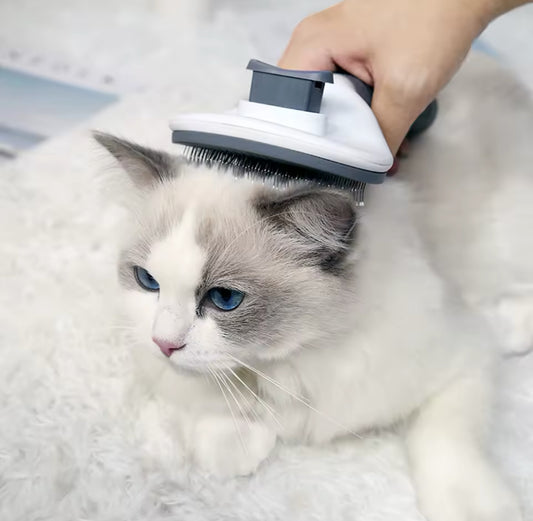 Hair Remover Pet Brush Grooming